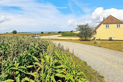 6 Personen Ferienhaus in Faaborg-By Traum