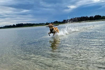 6 persoons vakantie huis in Hadsund-By Traum