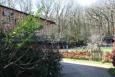 Ferienwohnung mit 1 Schlafzimmer