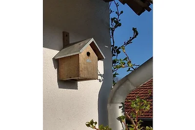 Ferienhaus in Münster mit Schwimmbecken