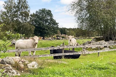 4 Personen Ferienhaus in Mörlunda