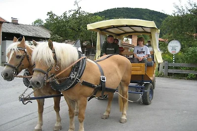 Ferienwohnung mit 2 Schlafzimmer