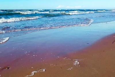 6 Personen Ferienhaus in Græsted-By Traum