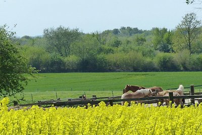 Ferienhof Fraulund -Appartamento Niehof