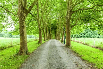 Direkte Umgebung (Sommer) (<1 km) Direkte Umgebung (Sommer) (<1 km)