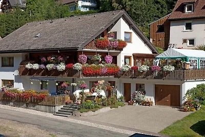 Ferienwohnung mit 3 Schlafzimmer