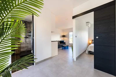 Wohnung in Cannes mit großer Terrasse