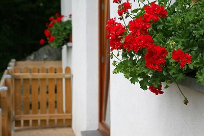 Vrijstaand vakantiehuis in landelijke...