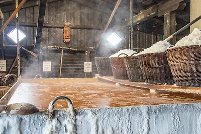 4 stelle case ad Læsø