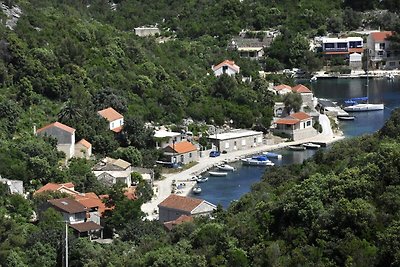 Apartment Danijela Mljet - Studio Apartment w...