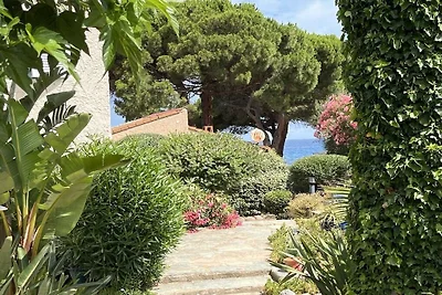 Holiday apartment in Lumio with swimming pool