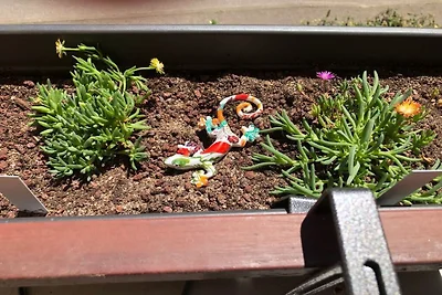 Vakantieappartement met 1 slaapkamer