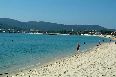 Villetta le Palme Isola d'Elba