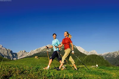 Wohnung in der Nähe des Skigebiets in...