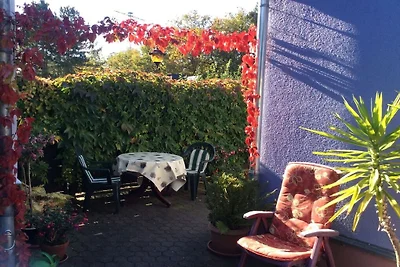 Ferienhaus in Radebeul mit Schwimmbecken