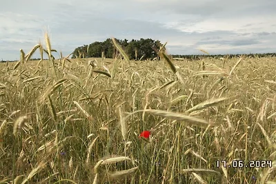 Kuća za odmor Dopust za oporavak Krausnick-Groß Wasserburg