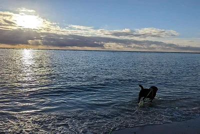 5 Personen Ferienhaus in Blåvand-By Traum