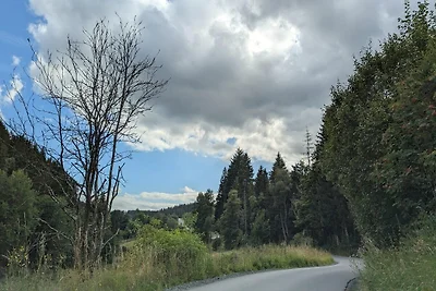 Appartamento per le vacanze a Winterberg vici...