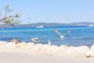 Küstenurlaub für 2 Personen in Sukošan
