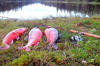 6 Personen Ferienhaus in Nordli-By Traum