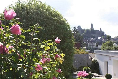 Vista sul castello di Braunfels