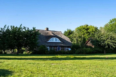 Ferienhaus in Garz mit Schwimmbecken