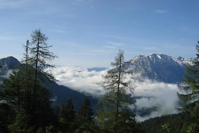 Wohnung in Tauplitz nahe Skilift