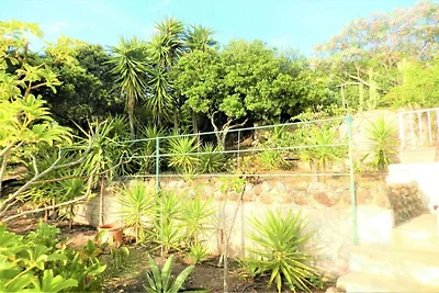 Attico Villa Bougainville