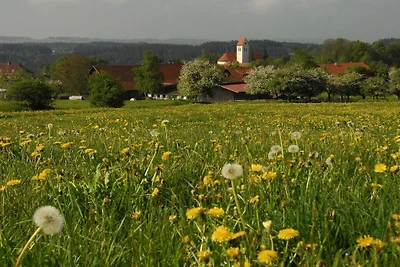 Nella regione dell'Allgäu, la famiglia...