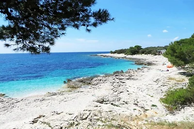 Wohnung auf Dugi Otok nahe Sakarun Strand
