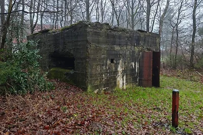 8 persoons vakantie huis in Toftlund-By Traum