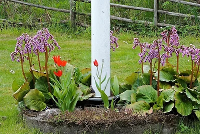 6 Personen Ferienhaus in ODENSBACKEN-By Traum
