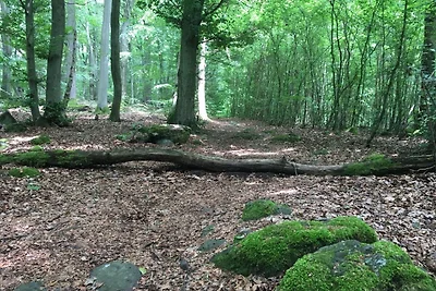 Wohnung in Ellar mit Garten