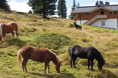 Chalet Lang in Hochkrimml voor 6 personen