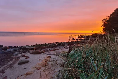 6 persoons vakantie huis in Hejls