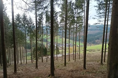Ferienhaus mit 2 Schlafzimmer
