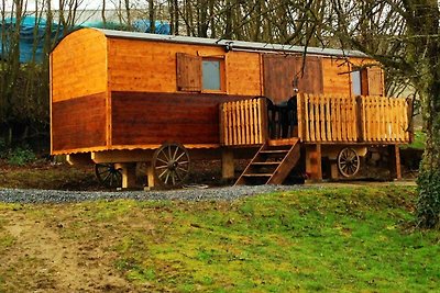 Mooie huifkar in de Ardennen met veel...