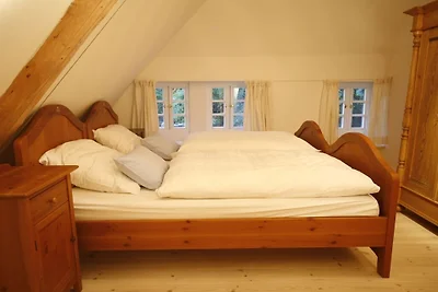 Vakantiehuis in Hanstedt met zwembad