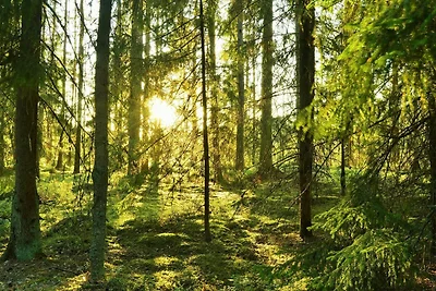 5 Personen Ferienhaus in ÅSEDA