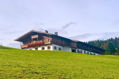 Maso a Hochfilzen con vista sulle montagne