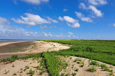 5 Personen Ferienhaus in Rømø-By Traum
