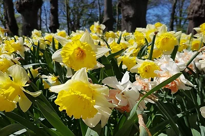 Charmantes Refugium auf Eno -- By Traum...