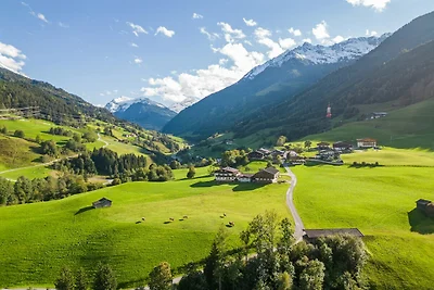Wohnung in Mittersill mit Bergblick