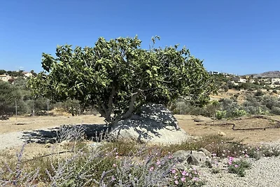 Villa in Sivas mit Schwimmbecken