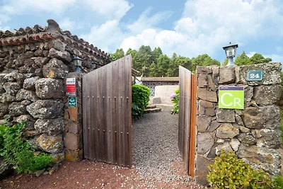 Ferienhaus inmitten des Waldes