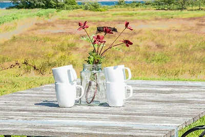 6 Personen Ferienhaus in Haderslev-By Traum