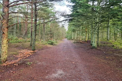 8 Personen Ferienhaus in Ålbæk-By Traum