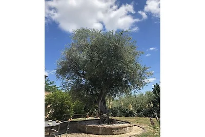 Maison de vacances avec 3 chambres
