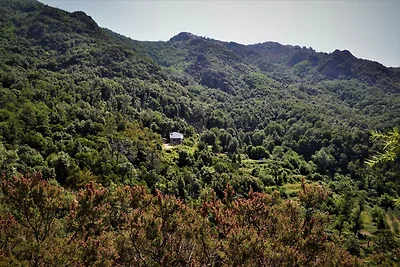 Bungalow in Sestri Levante mit Meeresstrand