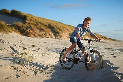 6 Personen Ferienhaus in Blåvand-By Traum